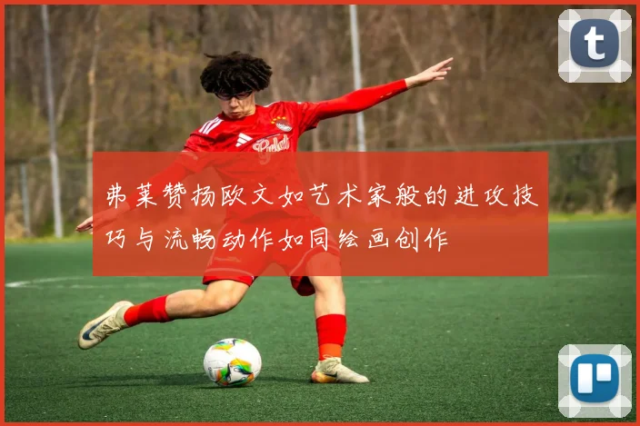 弗莱赞扬欧文如艺术家般的进攻技巧与流畅动作如同绘画创作