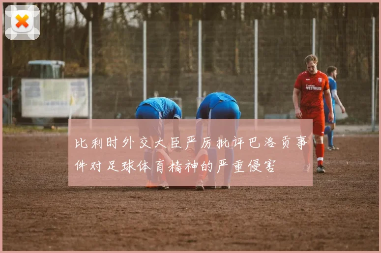 比利时外交大臣严厉批评巴洛贡事件对足球体育精神的严重侵害