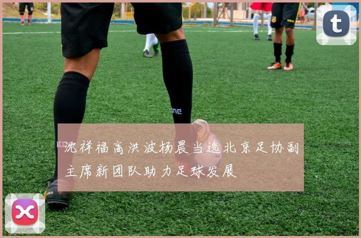 沈祥福高洪波杨晨当选北京足协副主席新团队助力足球发展