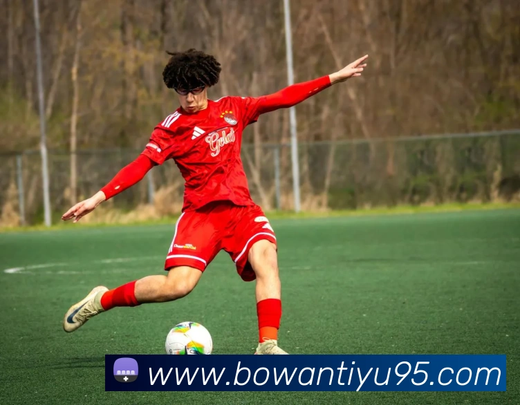 博万体育APP 封面图